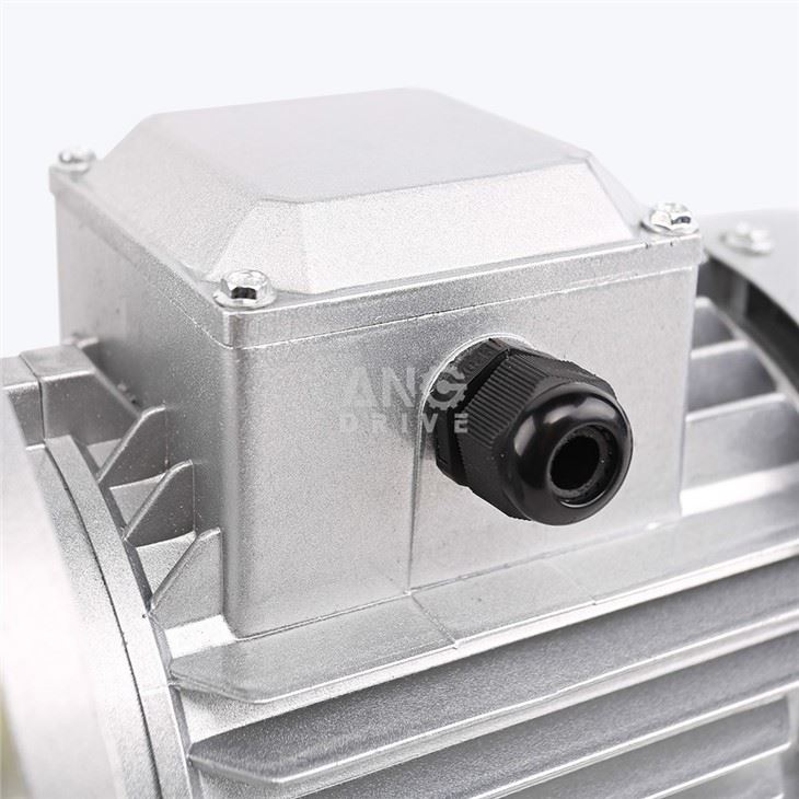 AC Electric Motor