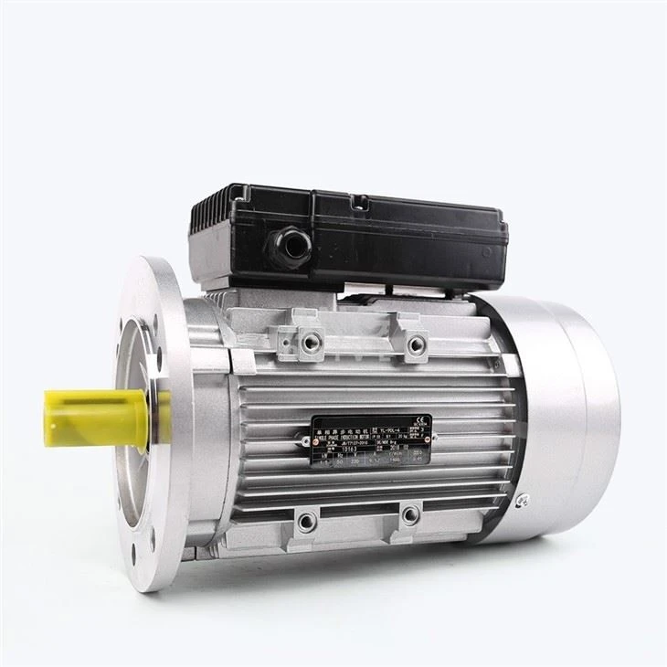 Pump Motor