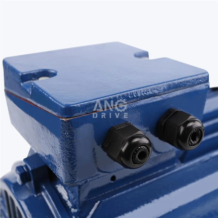 55KW Motor