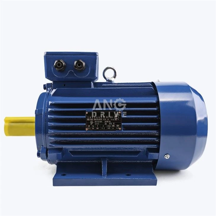 55KW Motor