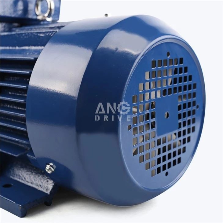 55KW Motor