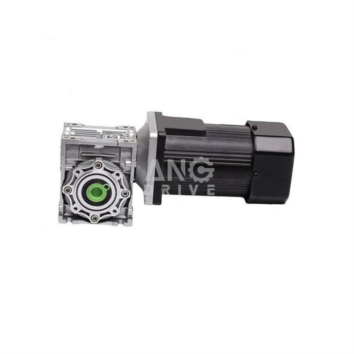 NMRV worm reducer with electric motor