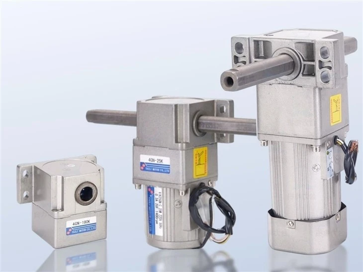 AC Linear Gear Motor